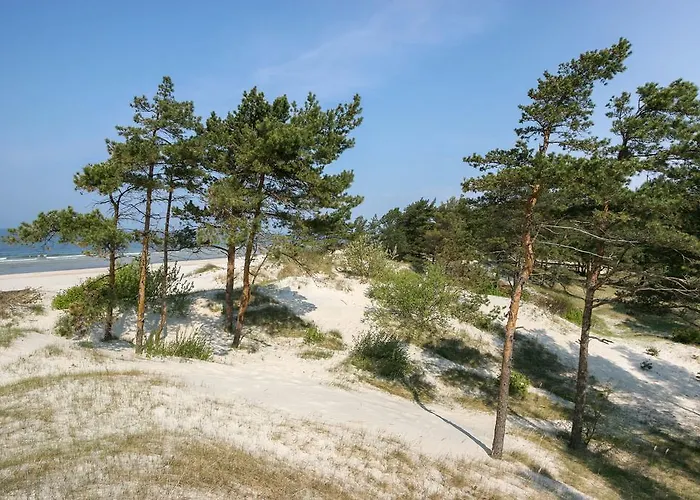 Medus 3* פלאנגה